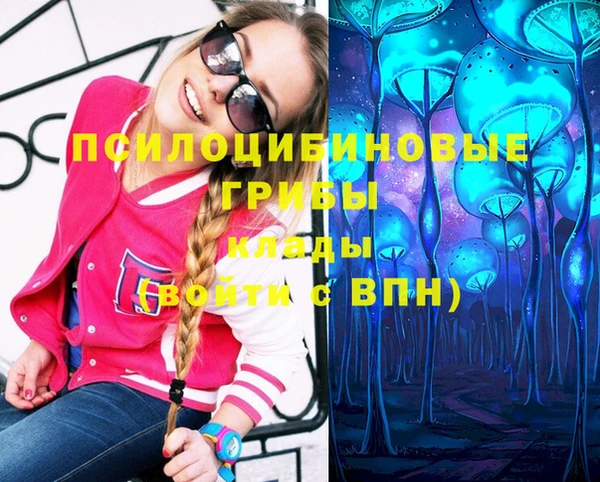 PSILOCYBIN Белоозёрский