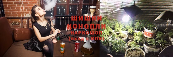 ГАЛЛЮЦИНОГЕННЫЕ ГРИБЫ Балабаново