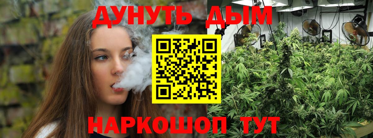 Бошки марихуана марихуана  МАРИХУАНА индика  Марихуана план  Вход с VPN  Калуга 
